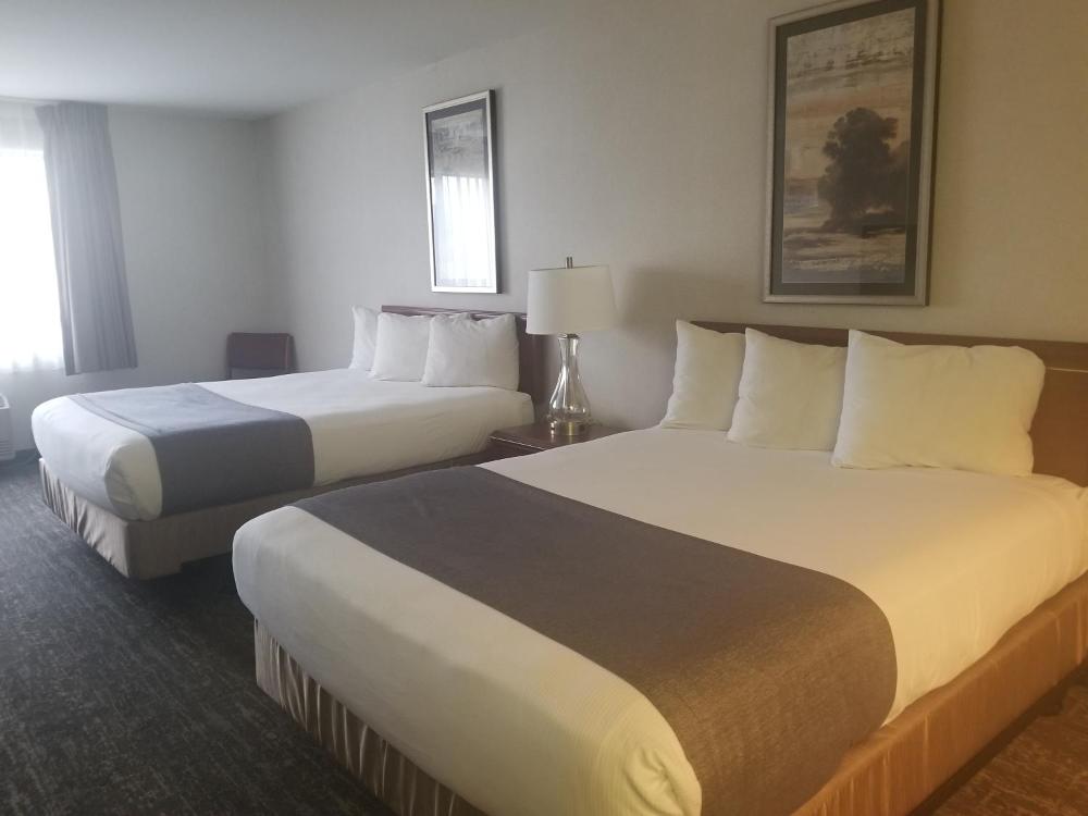 Mini Suite 2 Queen Beds interior